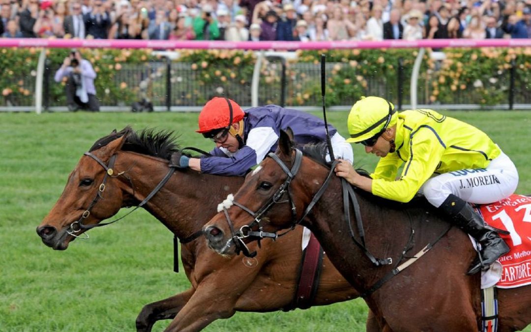 Why investing is (and isn’t) like the Melbourne Cup